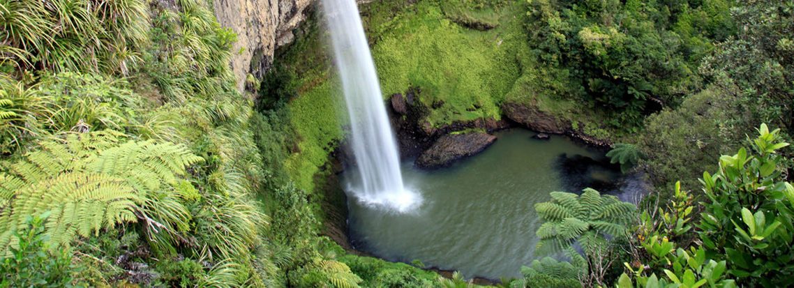 everything-you-need-to-know-about-plunge-pools-in-australia